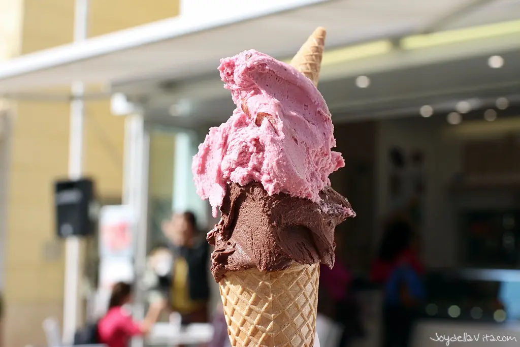 Vegan Ice-Cream at Cremeria Vanilla Riccione