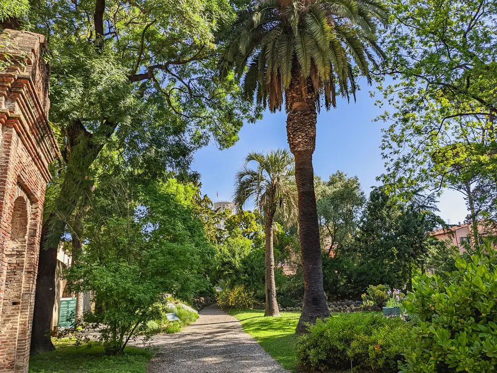 one of the best activities in Pisa