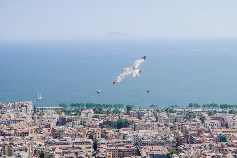 How to calculate your water footprint